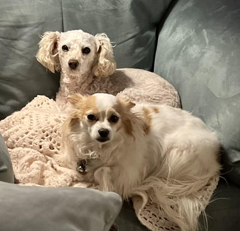 Sunnyside Veterinary Hospital Happy Valley, Oregon Meet The Team